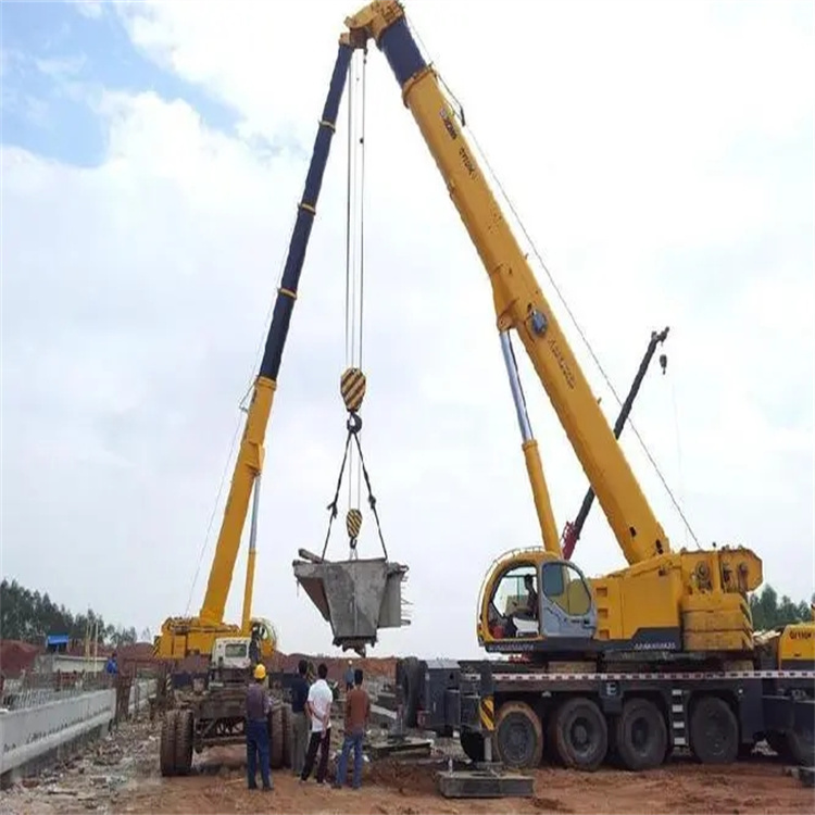 丹棱小型吊机出租电话|厂房设备吊装方案|24小时服务覆盖